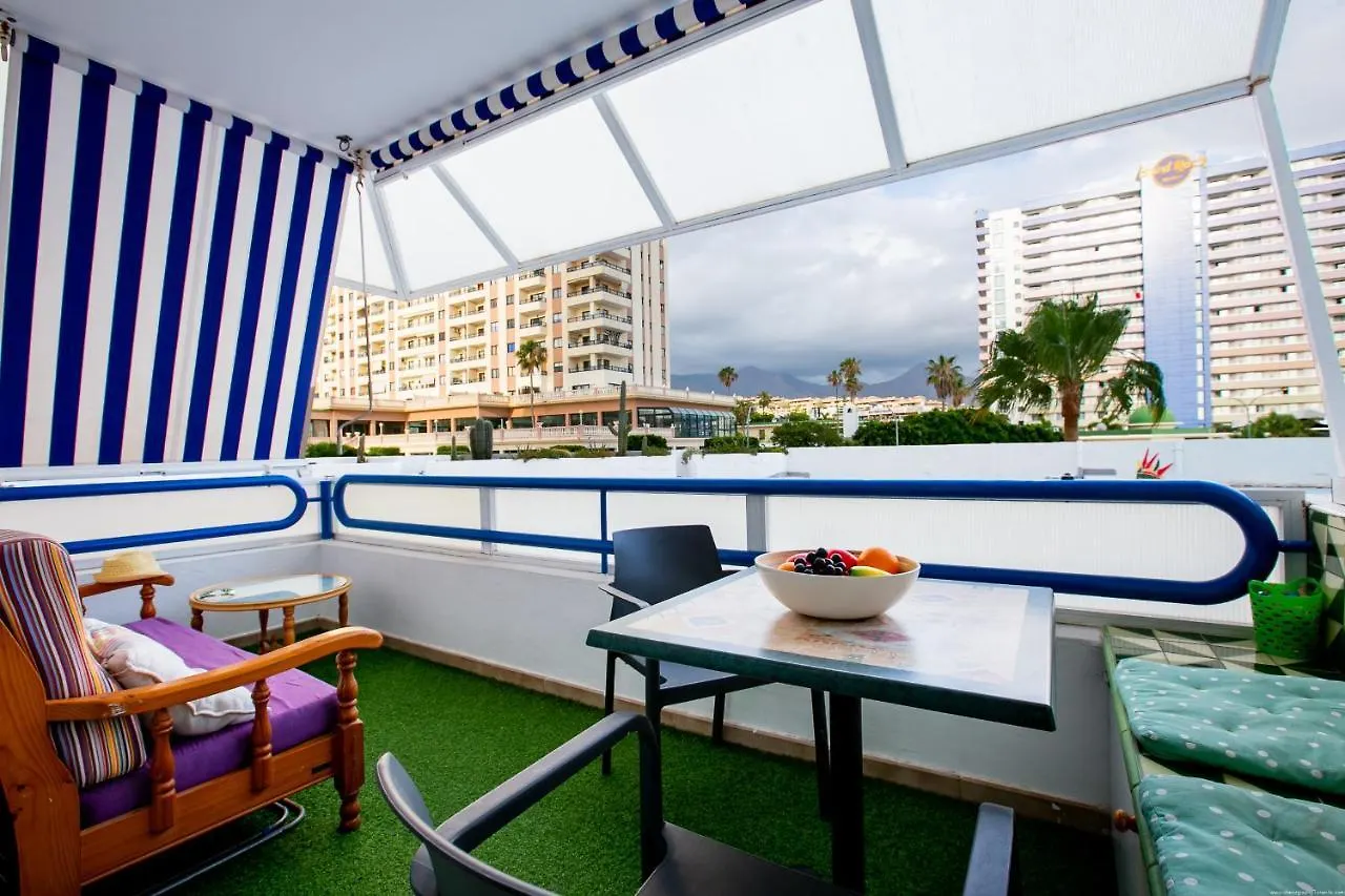 113 Paraiso Sur Apartamento contacts